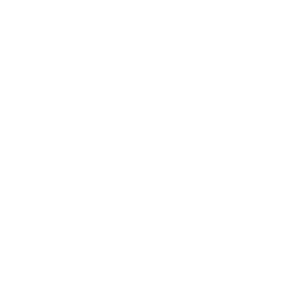 SUZUKI MOTO